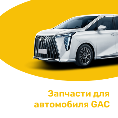 Запчасти для автомобиля GAC в Кирове