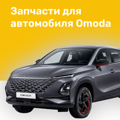 Запчасти для автомобиля Omoda в Кирове